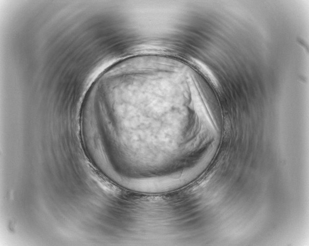 X0000093221435200710241208