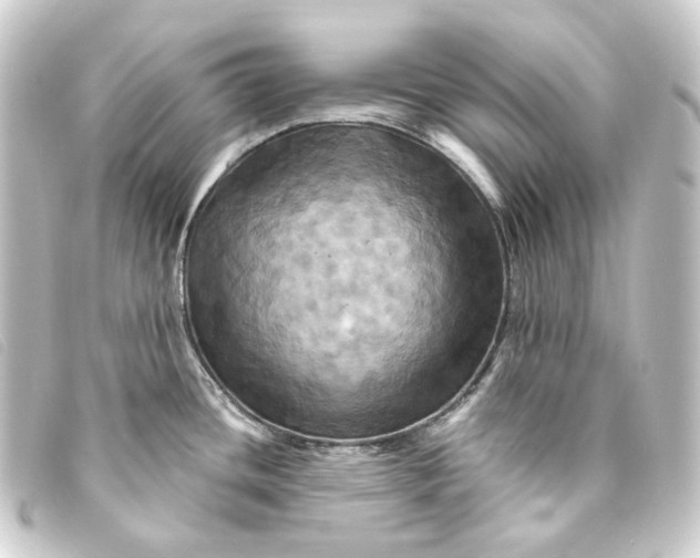 X0000093221436200710241208