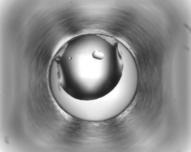 X0000093221438200710241208