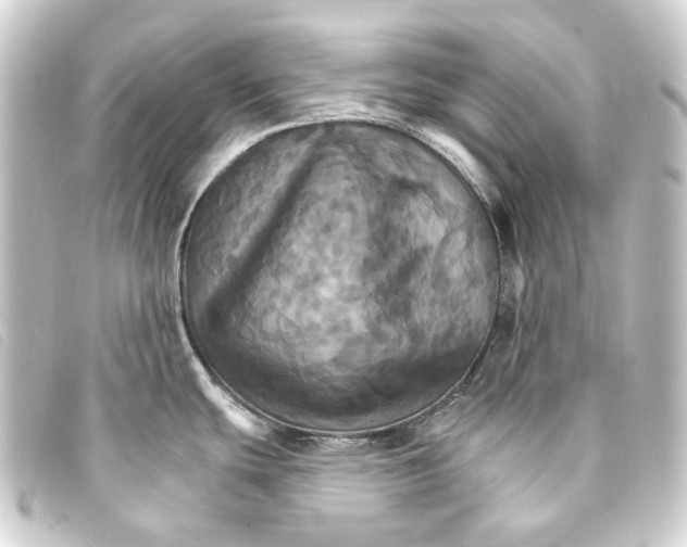 X0000093221439200710241208