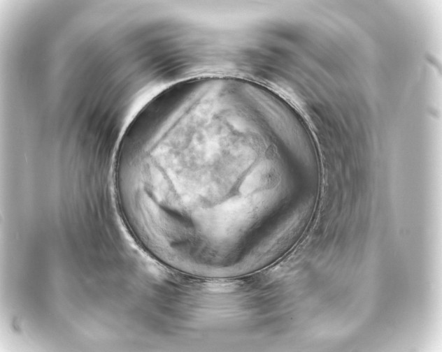 X0000093221440200710241208