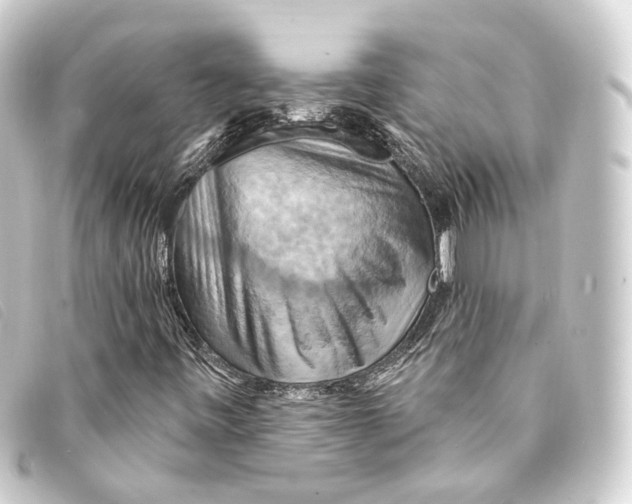 X0000093221443200710241208