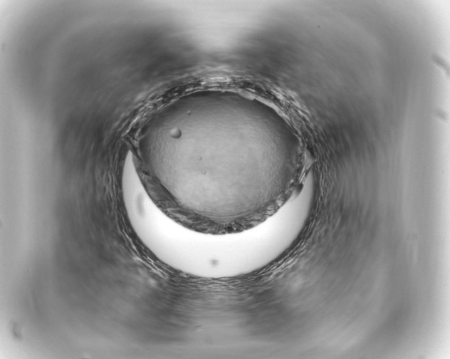 X0000093221445200710241208