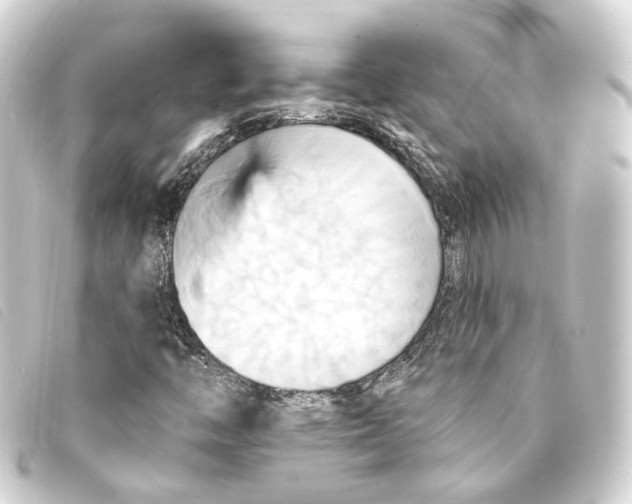 X0000093221446200710241208