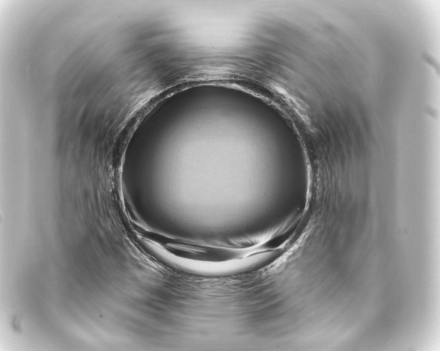 X0000093221449200710241208