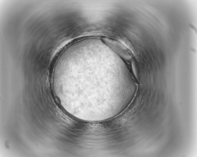 X0000093221452200710241207