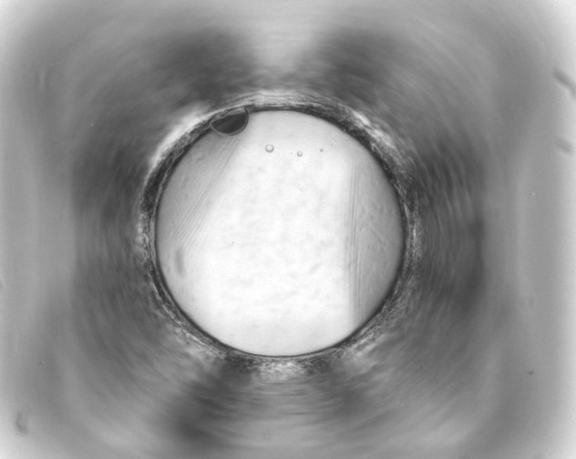 X0000093221454200710241207