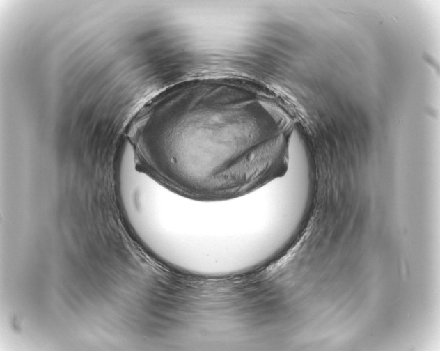 X0000093221457200710241207