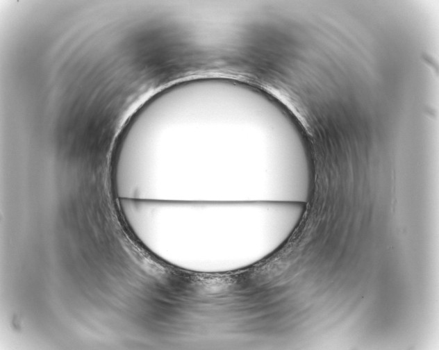 X0000093221460200710241207