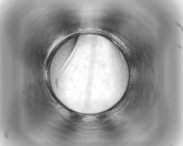 X0000093221462200710241207