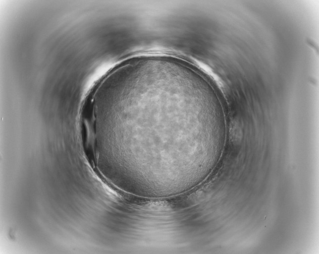 X0000093221464200710241207