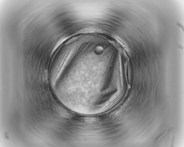 X0000093221465200710241207