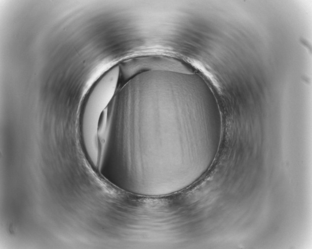 X0000093221469200710241207