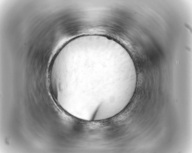 X0000093221470200710241207