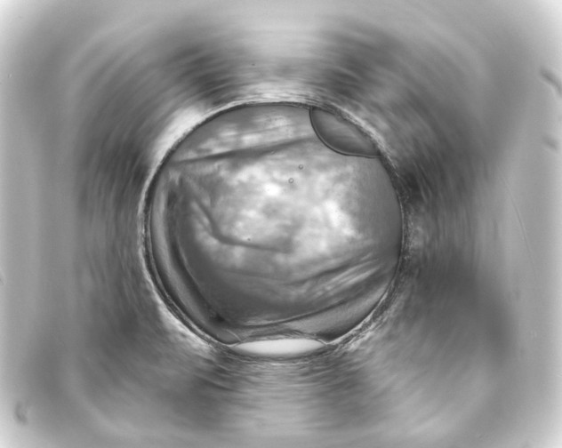 X0000093221471200710241207