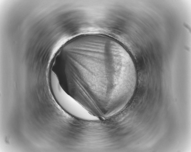 X0000093221472200710241207