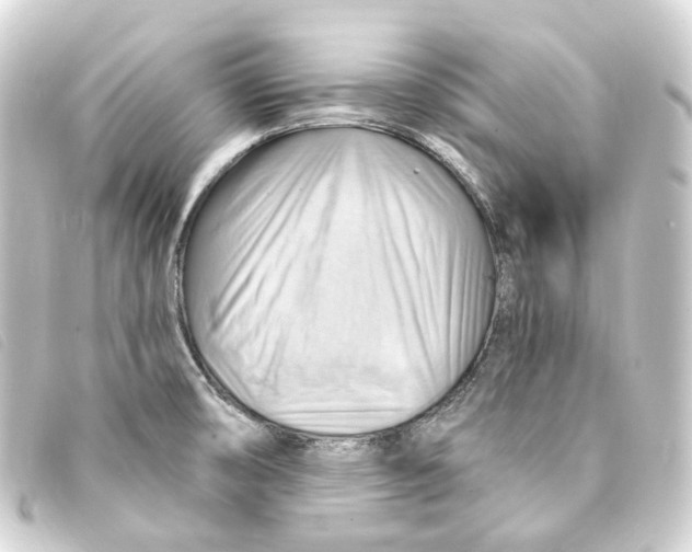 X0000093221474200710241207