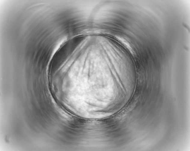 X0000093221475200710241207