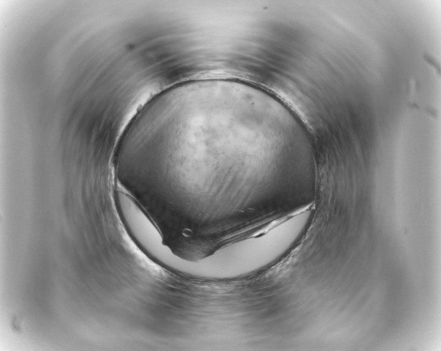 X0000093221476200710241207