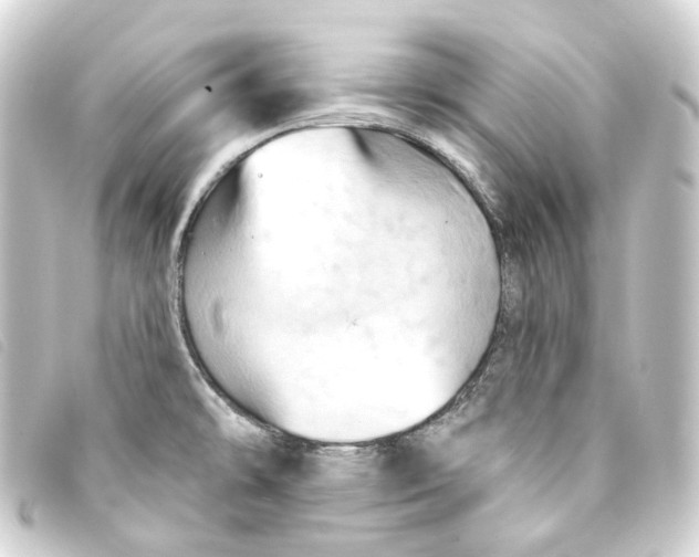 X0000093221478200710241207