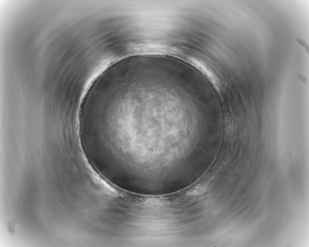 X0000093221480200710241207