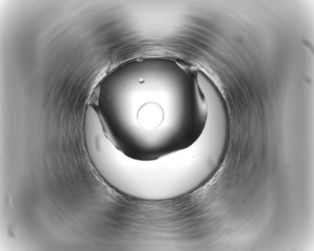 X0000093221481200710241207