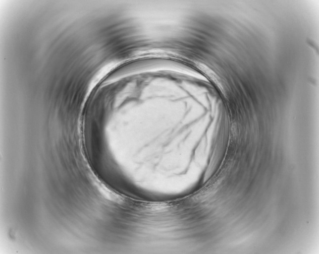 X0000093221482200710241207