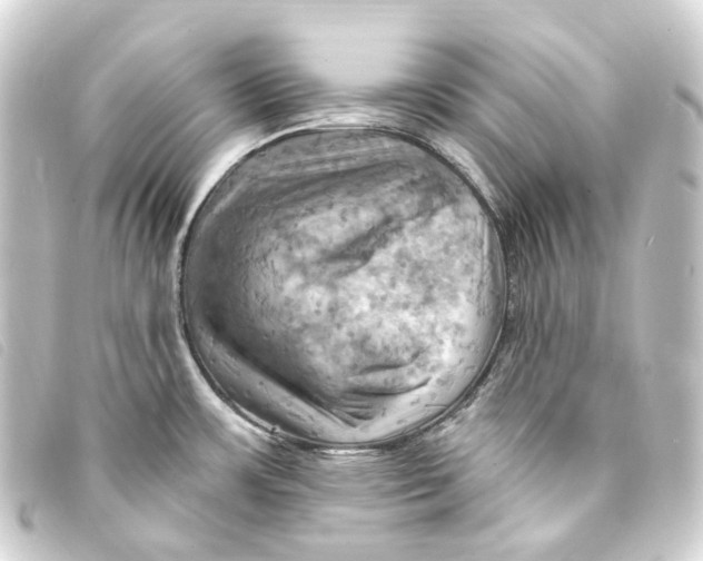 X0000093221483200710241207