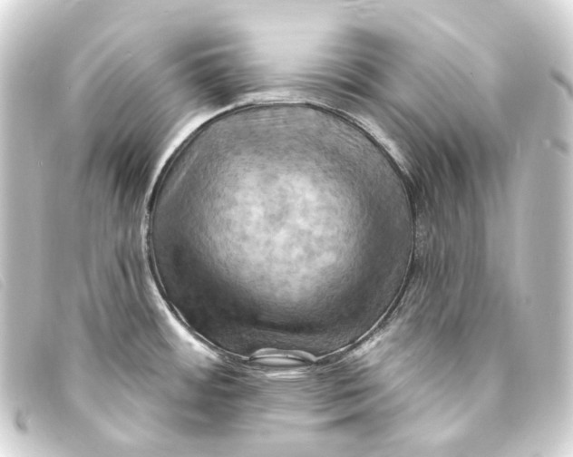 X0000093221484200710241207