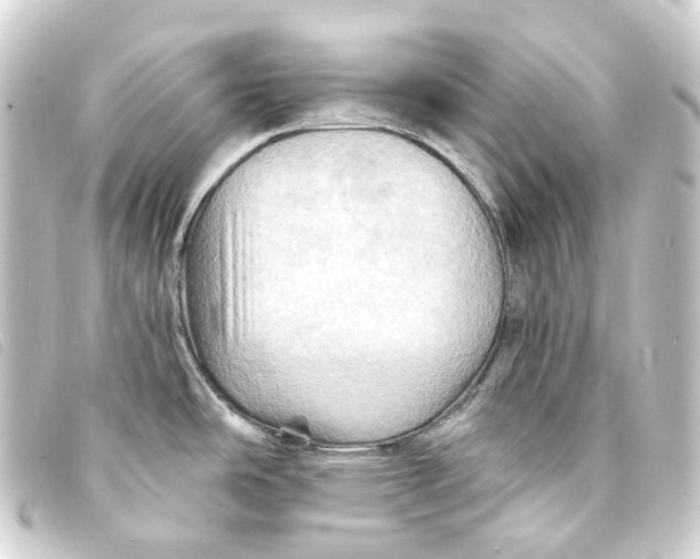 X0000093221486200710241207