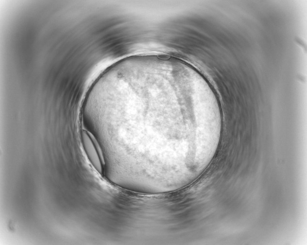 X0000093221488200710241207