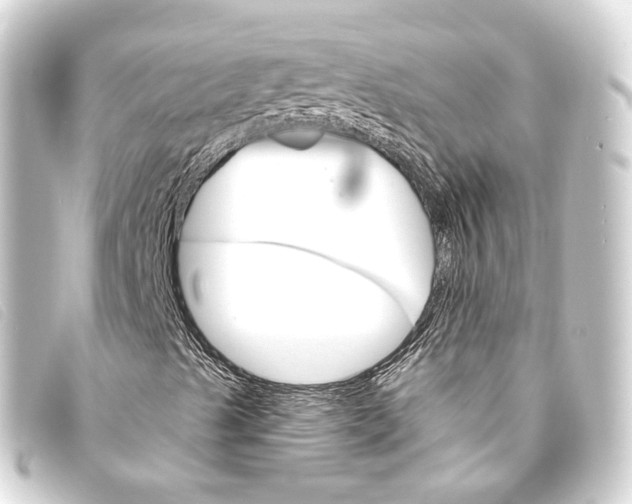 X0000093221489200710241206