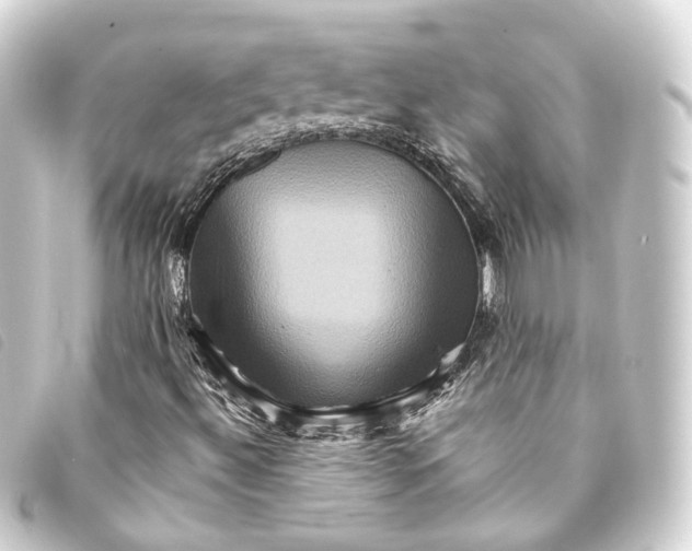 X0000093221492200710241207