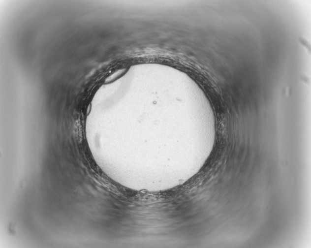 X0000093221493200710241207