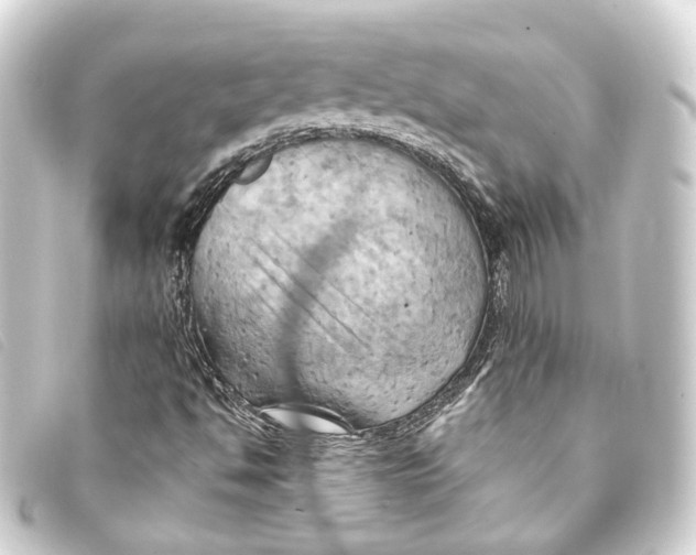 X0000093221494200710241207