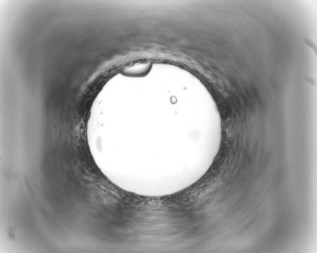 X0000093221495200710241207