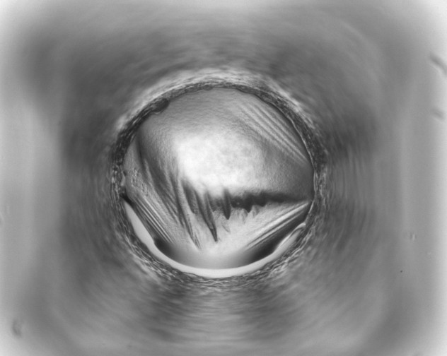 X0000093221496200710241207