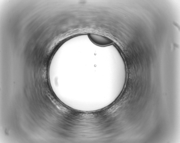 X0000093221499200710241207