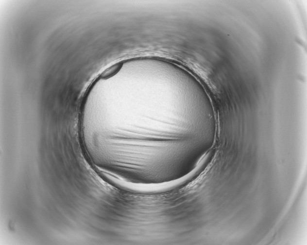 X0000093221500200710241207