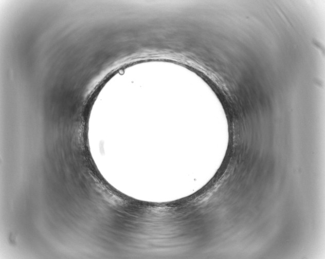 X0000093221502200710241207