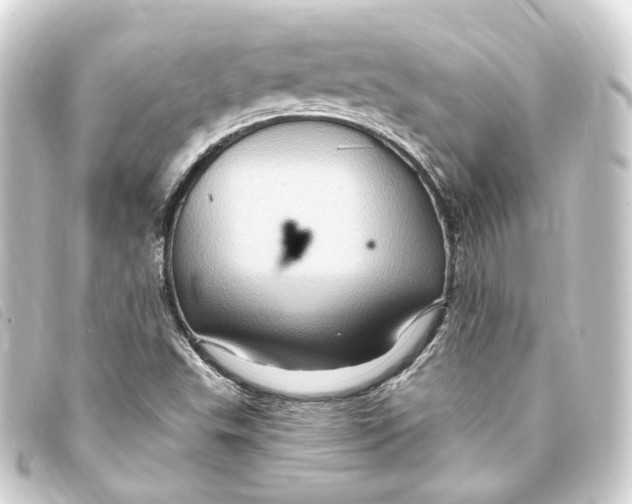 X0000093221503200710241207