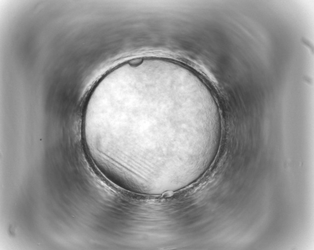 X0000093221504200710241207