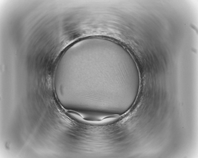 X0000093221505200710241207