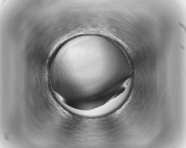 X0000093221506200710241207