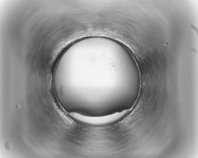 X0000093221507200710241207