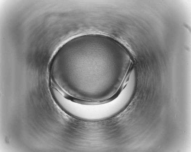 X0000093221508200710241207