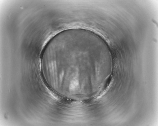 X0000093221509200710241207