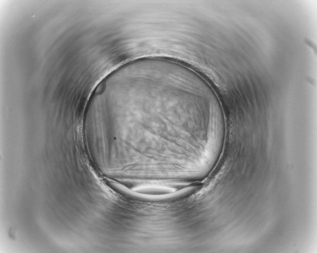 X0000093221513200710241207