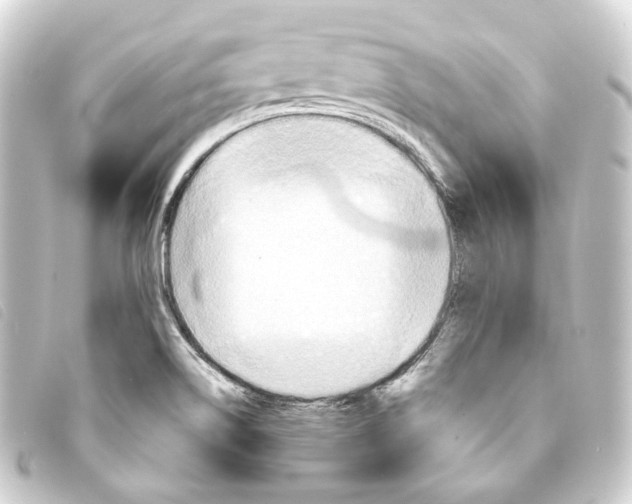 X0000093221514200710241207