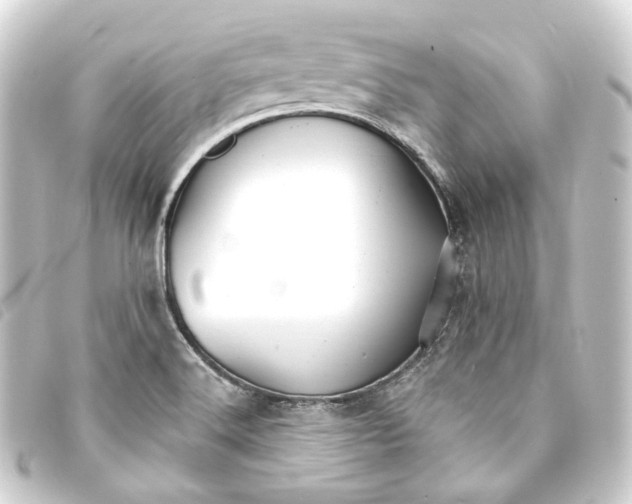 X0000093221516200710241207